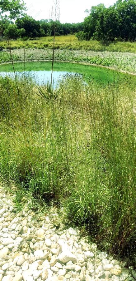 Teich Hutte Pond Cottage Rocky Hill Ngoại thất bức ảnh